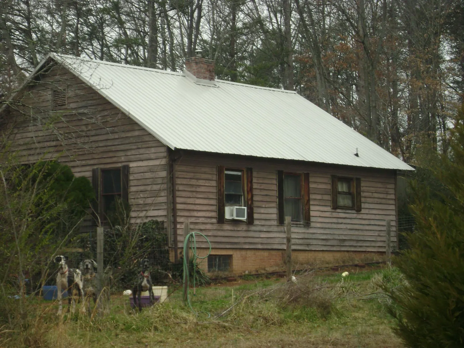 White metal roof on an old wood sided farmhouse, from a Asphalt Shingle Roof Repair job in Cartwright
